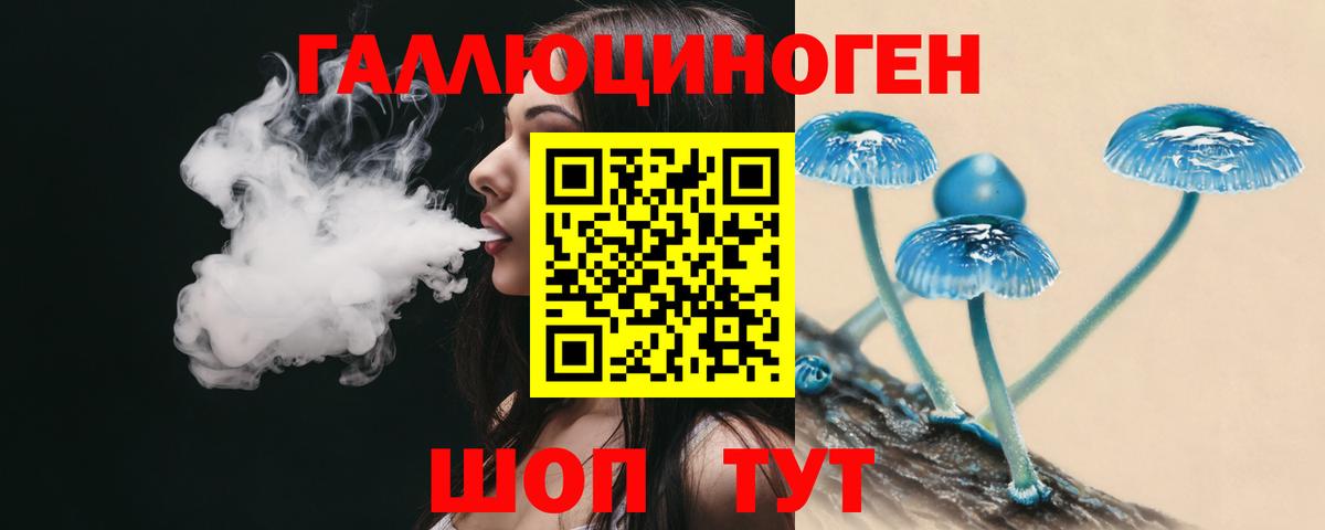 Псилоцибиновые грибы MAGIC MUSHROOMS  Вход с VPN  Орск 